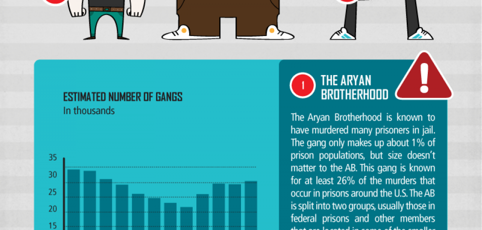 The United States of Gangs [Infographic]