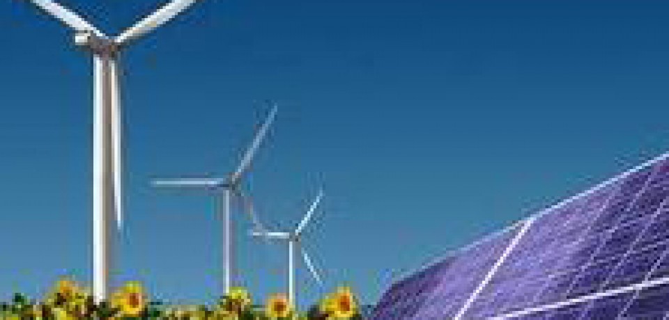 Renewable Energy Investment