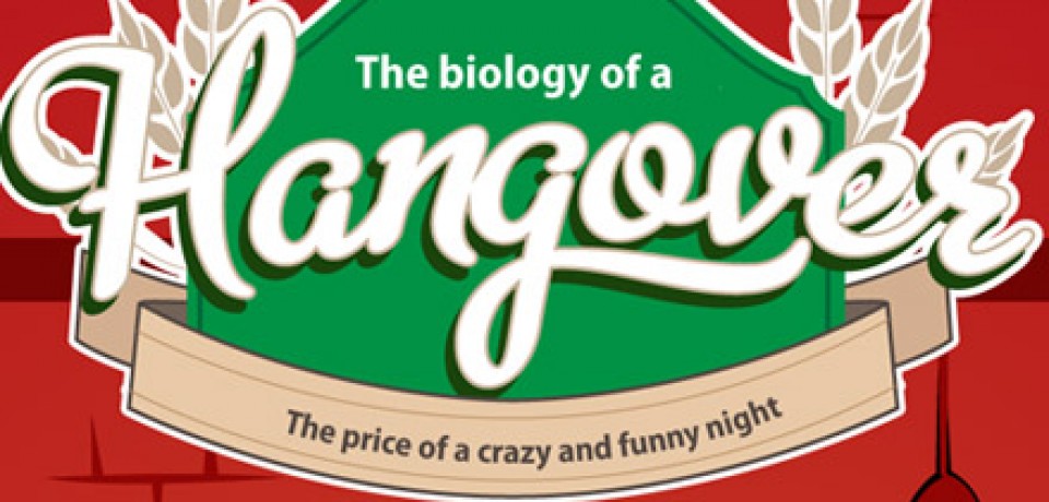 Understanding the Biology of a Hangover