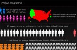 Vegan Infographic