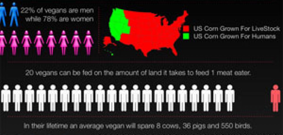 Vegan Infographic