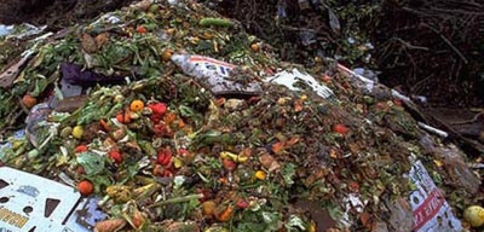 Food Wastage Around The World