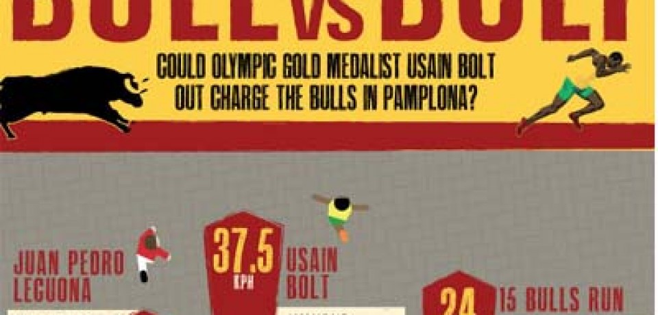 Bull vs Bolt