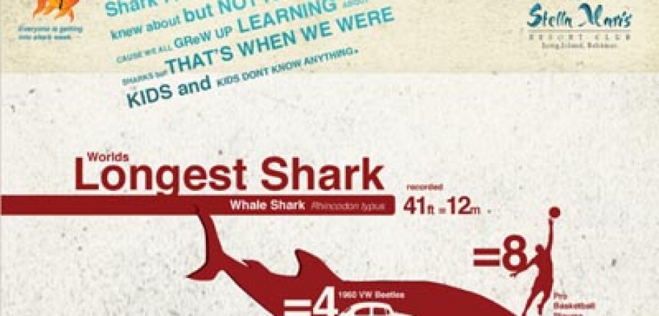 Things You Never Knew About Sharks