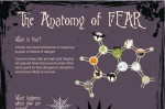 The Anatomy of Fear