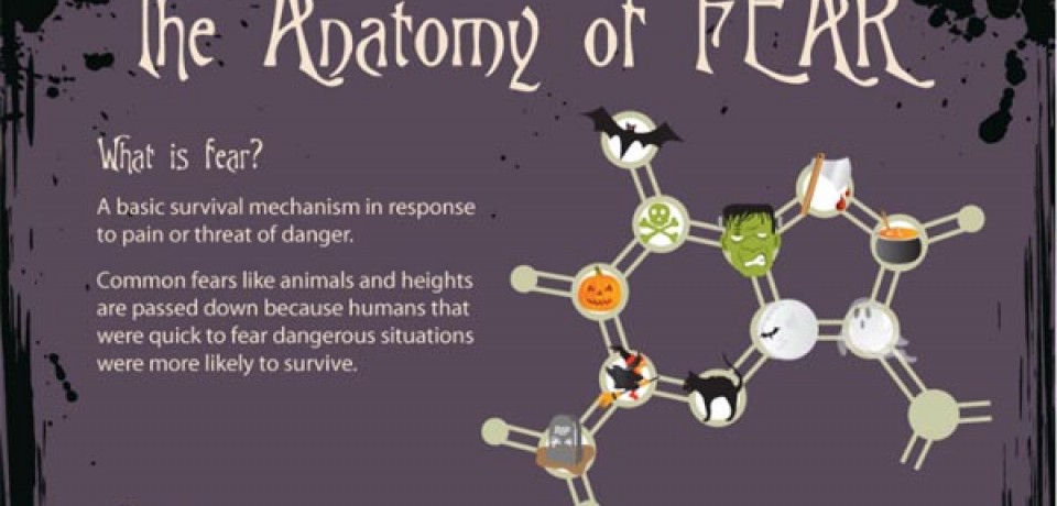 The Anatomy of Fear