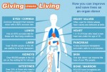 Organ Donation - Giving Means Living