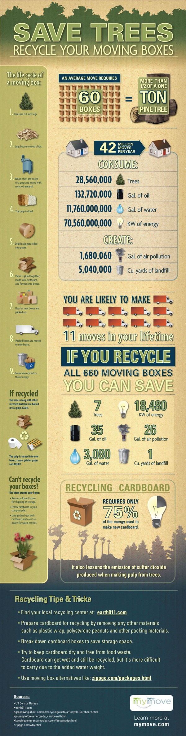 Save Trees Infographic