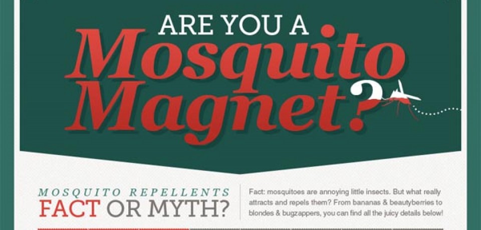 Are You A Mosquito Magnet?