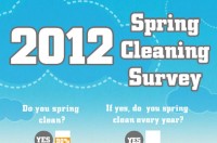 Spring Cleaning Survey