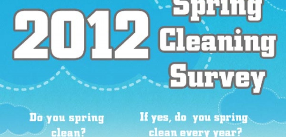 Spring Cleaning Survey