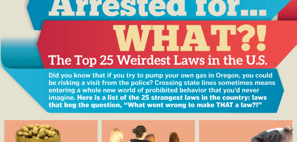 Arrested for What? The Top 25 Weirdest Laws in the U.S. [Infographic]