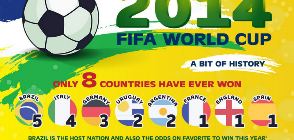 2014 FIFA World Cup Infographic