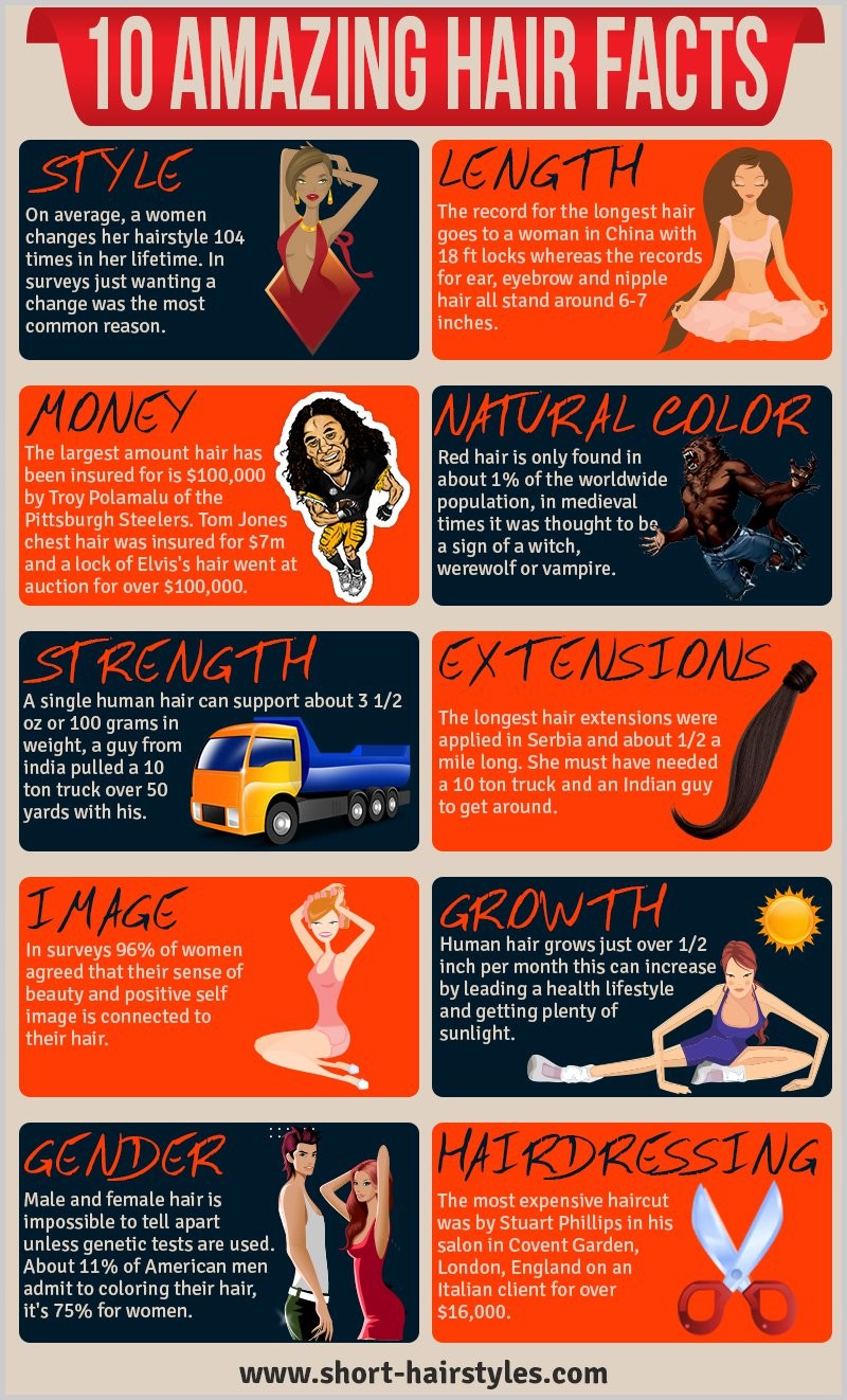 10 amazing hair facts [Infographic]