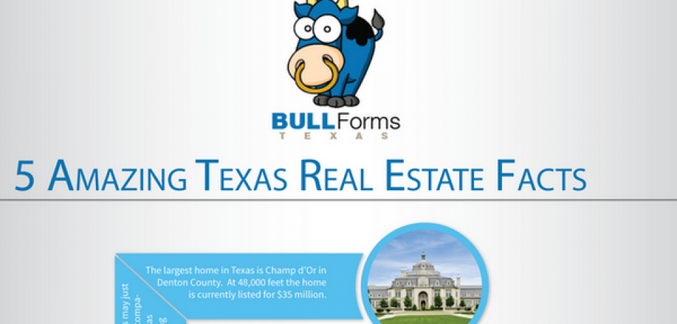 5 Amazing Texas Real Estate Facts [Infographic]
