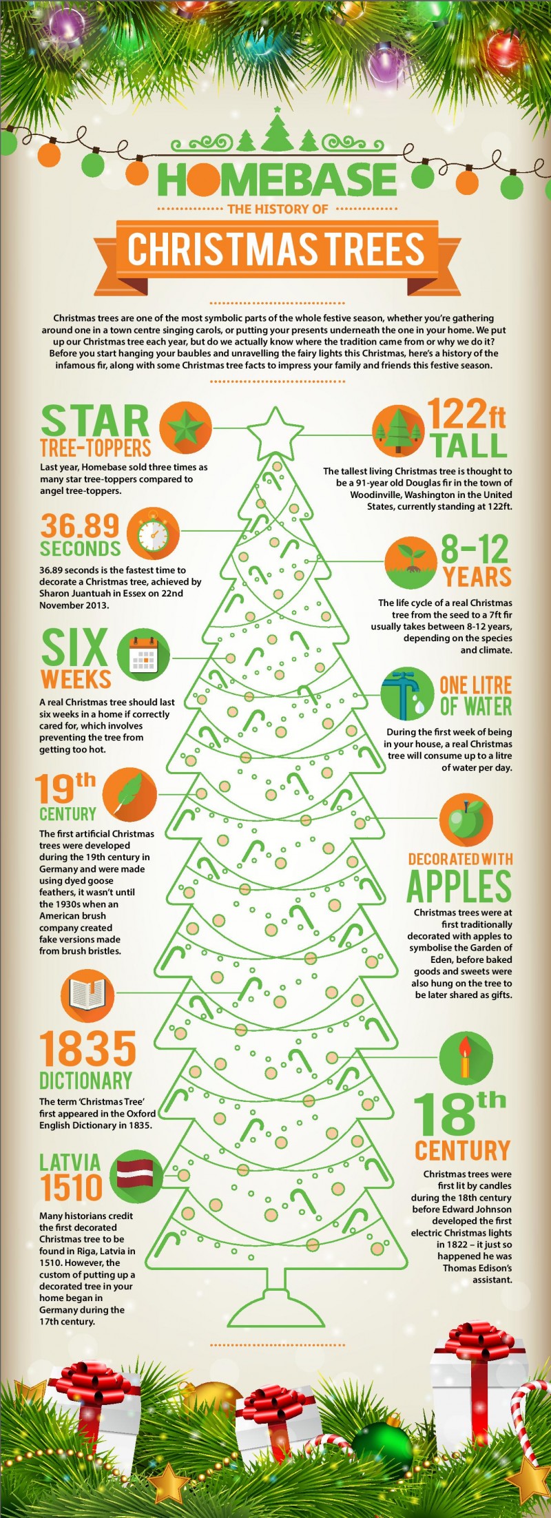 The history of Christmas trees [Infographic]