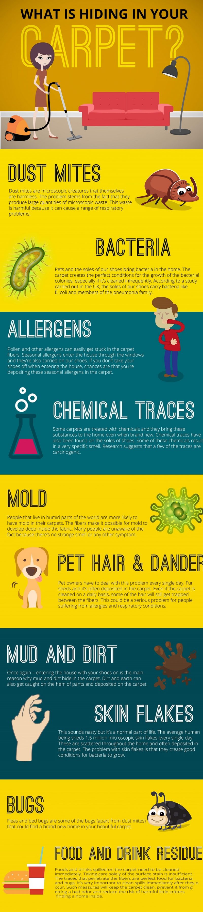 What is hiding in your carpet? [Infographic]