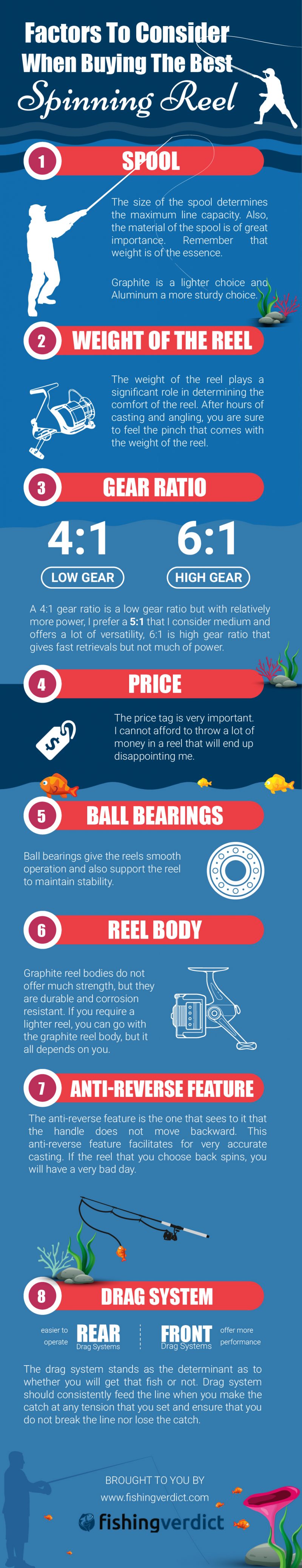 Factors To Consider When Buying The Best Spinning Reel [Infographic]