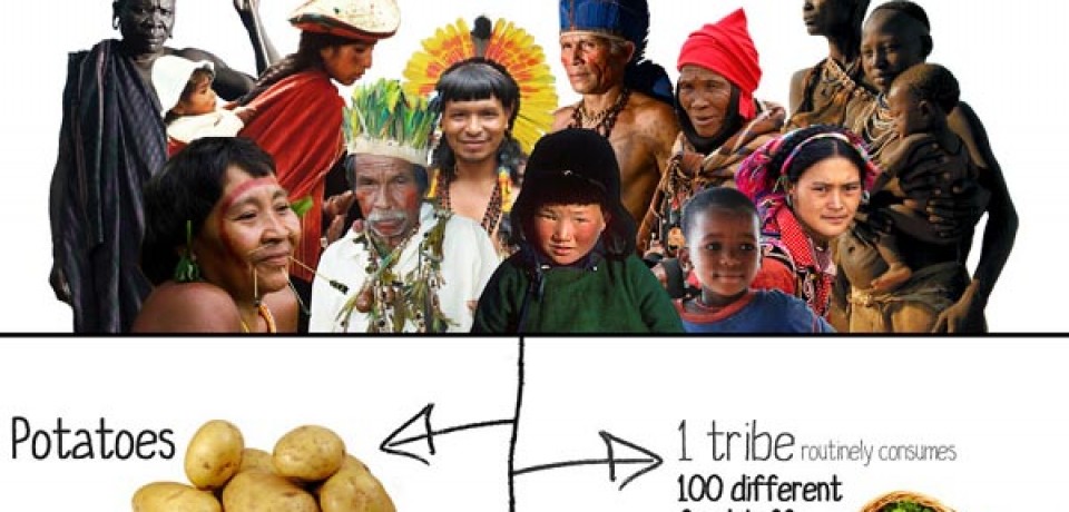 Tribal Peoples Contributions to Humanity