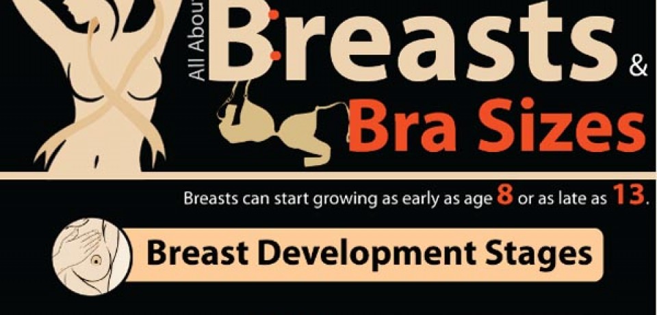 All about Breast and Bra Sizes