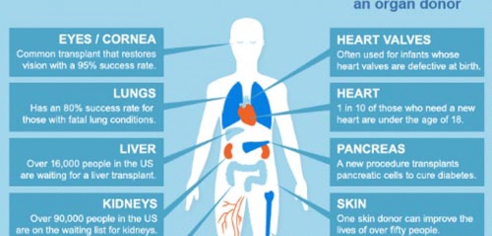 Organ Donation – Giving Means Living