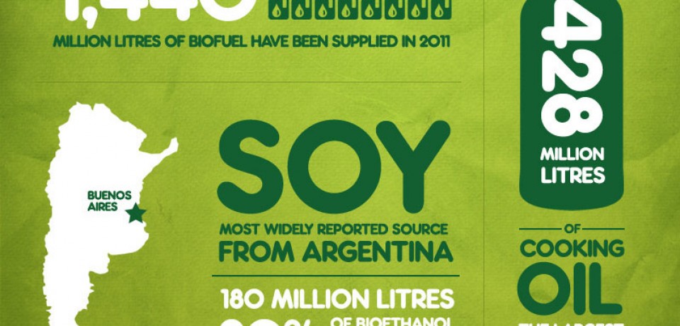 Biofuel Usage in the UK