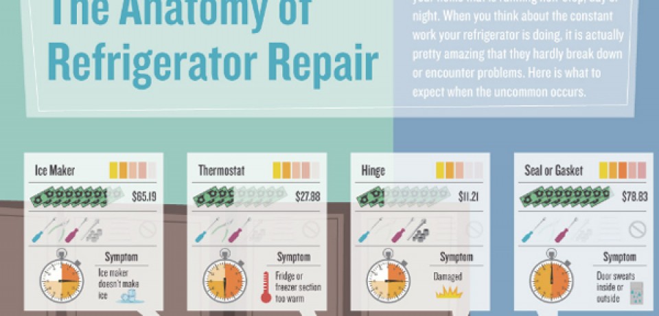 The Anatomy of Refrigerator Repair