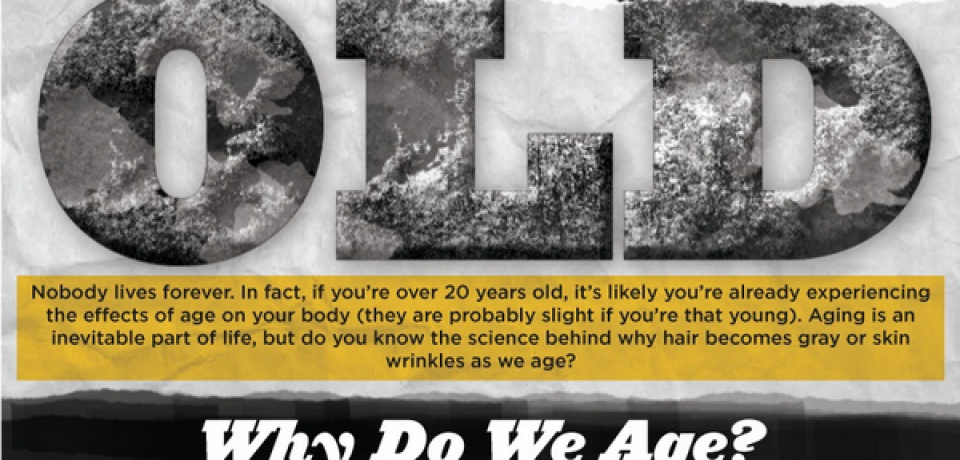 Science of Getting Old [Infographic]