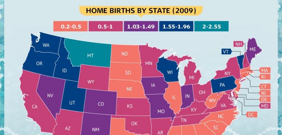 Stay at Home Moms: Why More Women Are Forgoing the Hospital When Baby Comes [Infographic]