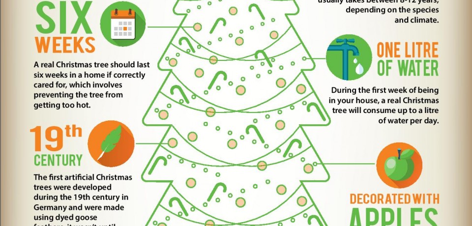 The history of Christmas trees [Infographic]