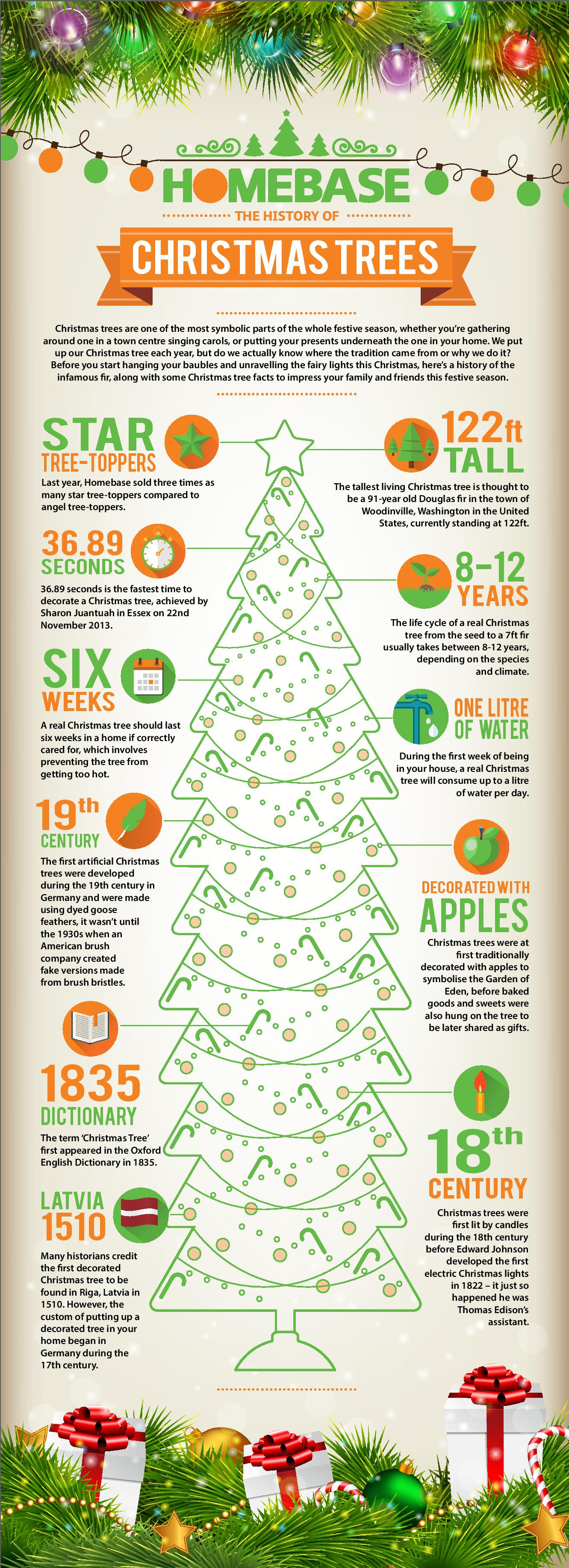 The History Of Christmas Trees [infographic] Only Infographic