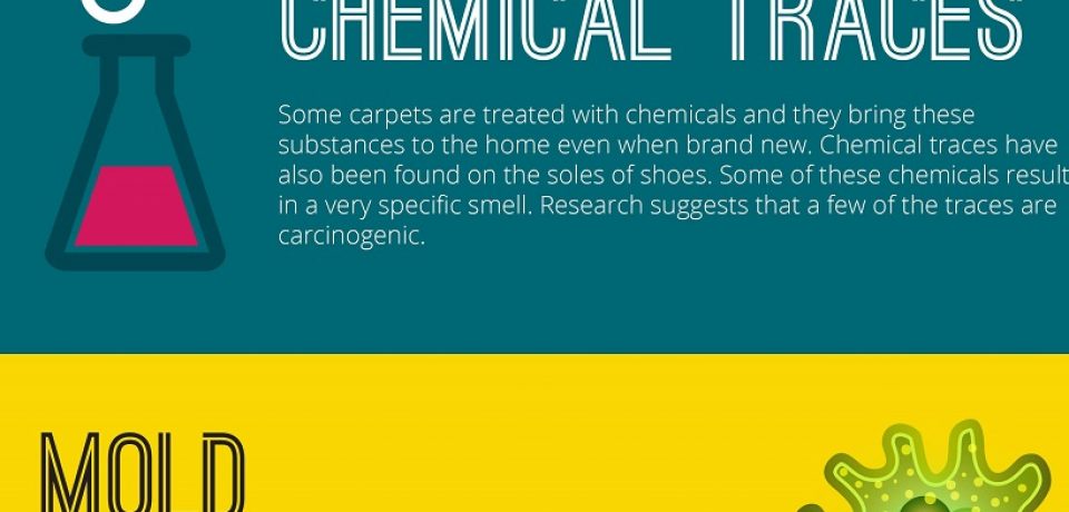What is hiding in your carpet? [Infographic]