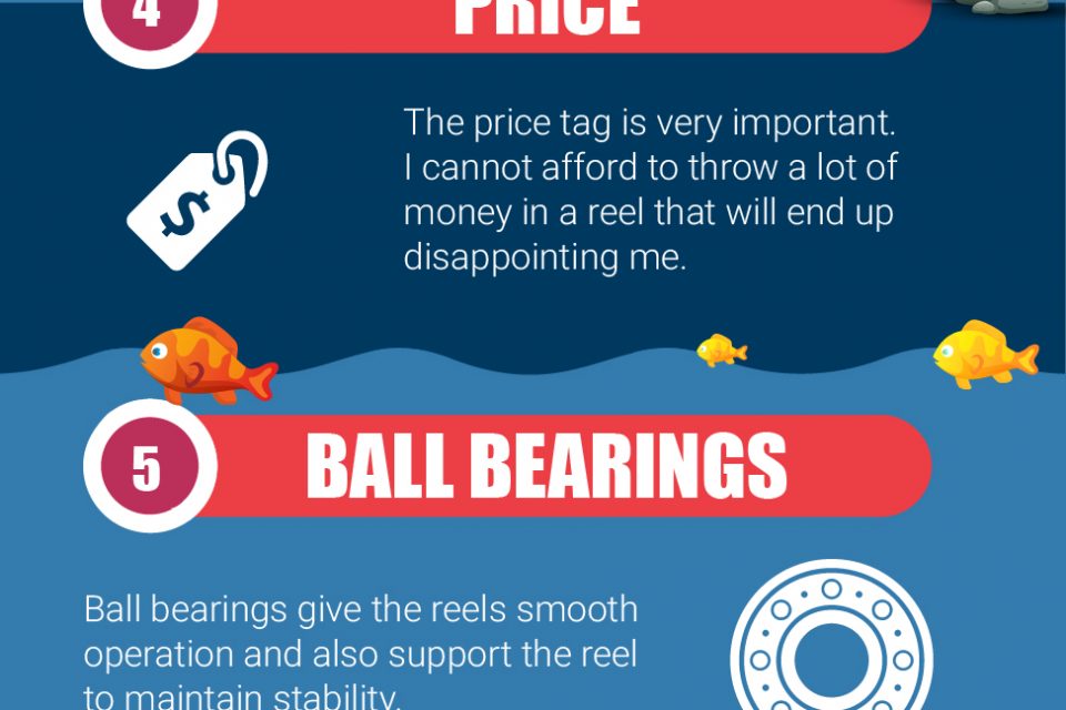 Factors To Consider When Buying The Best Spinning Reel [Infographic]